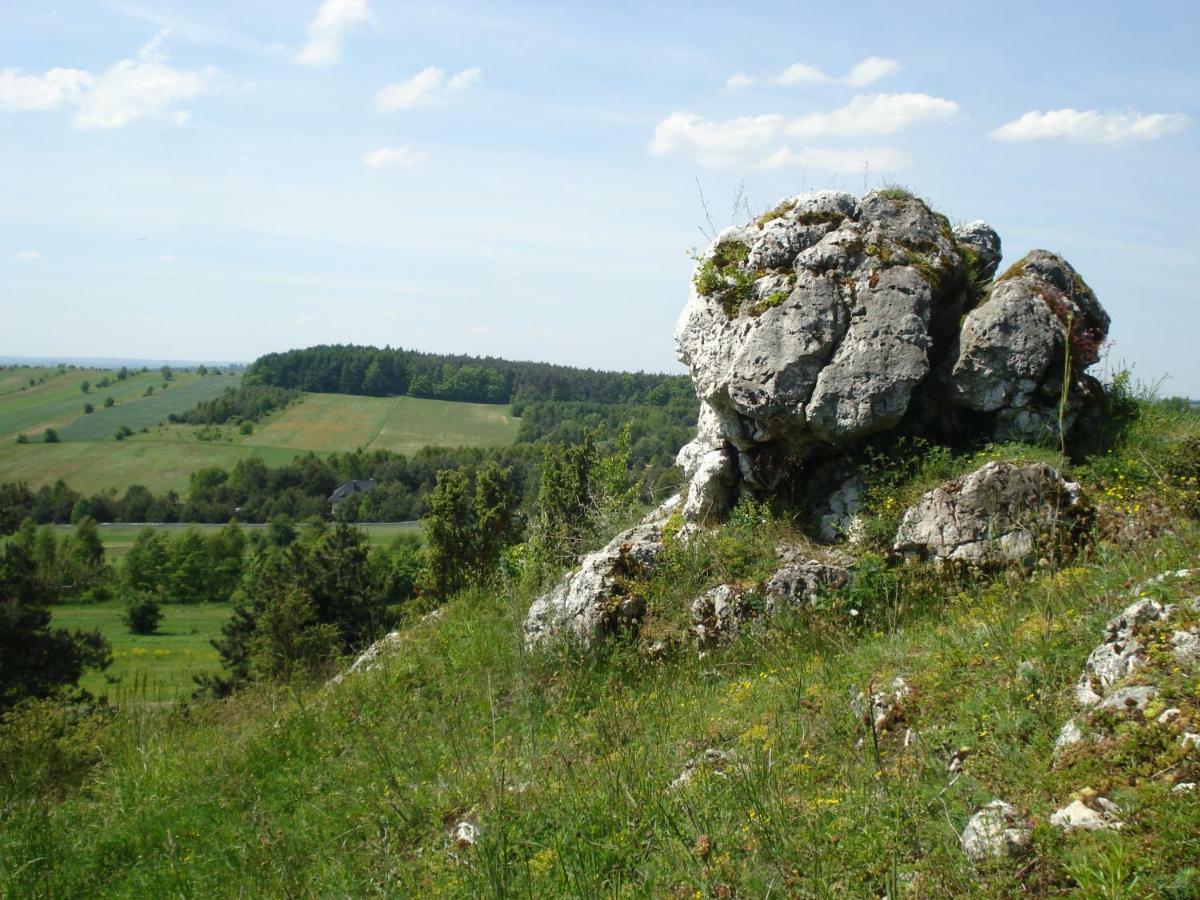 Villa Jura Pokoje Goscinne Zarki Bagian luar foto