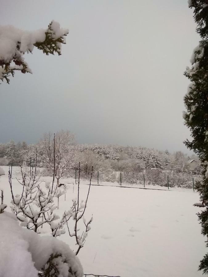 Villa Jura Pokoje Goscinne Zarki Bagian luar foto